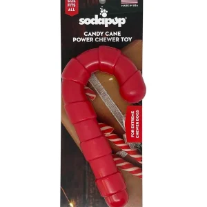 Candy Cane Durable Nylon Chew Toy | Sodapup Best