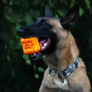 Jack O' Lantern Toy & Treat Dispenser | Sodapup New