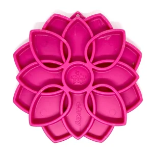 Mandala Enrichment Tray | Sodapup Store