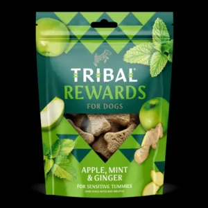 Koekjes Appel, Munt En Gember | Tribal Outlet