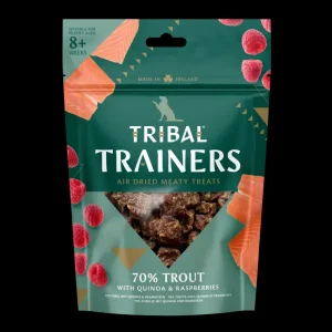 Trainers Forel & Framboos | Tribal Hot